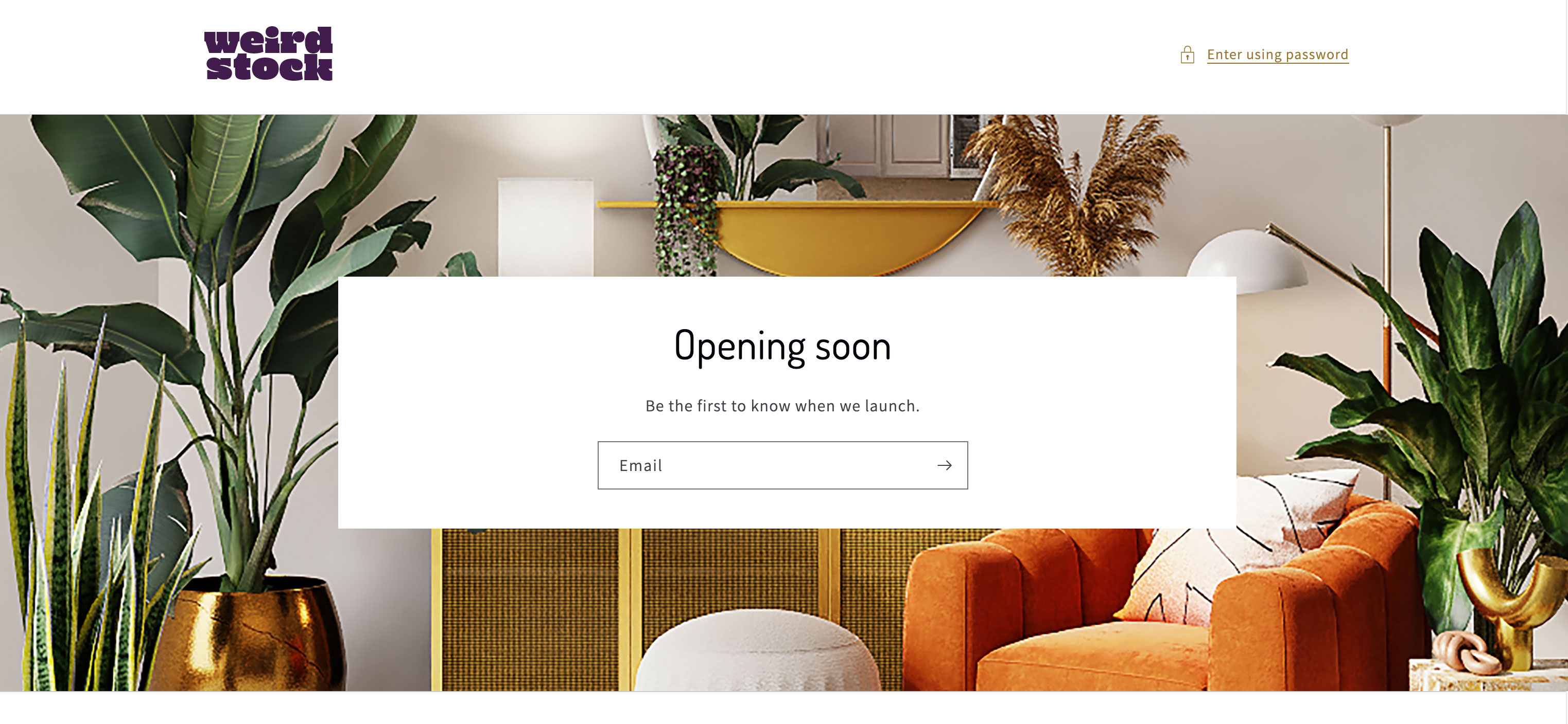 Weirdstock Shopify store mockup